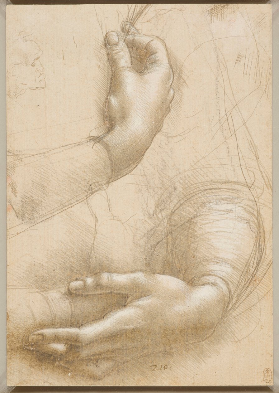 Armer og kvinnelige hender, ca. 1480. av Leonardo da Vinci