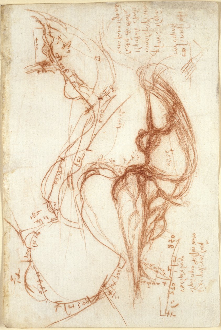 Arundel 263, f.149, Planimetriske skisser av elven Arno; notater om vannforvaltning av Leonardo da Vinci