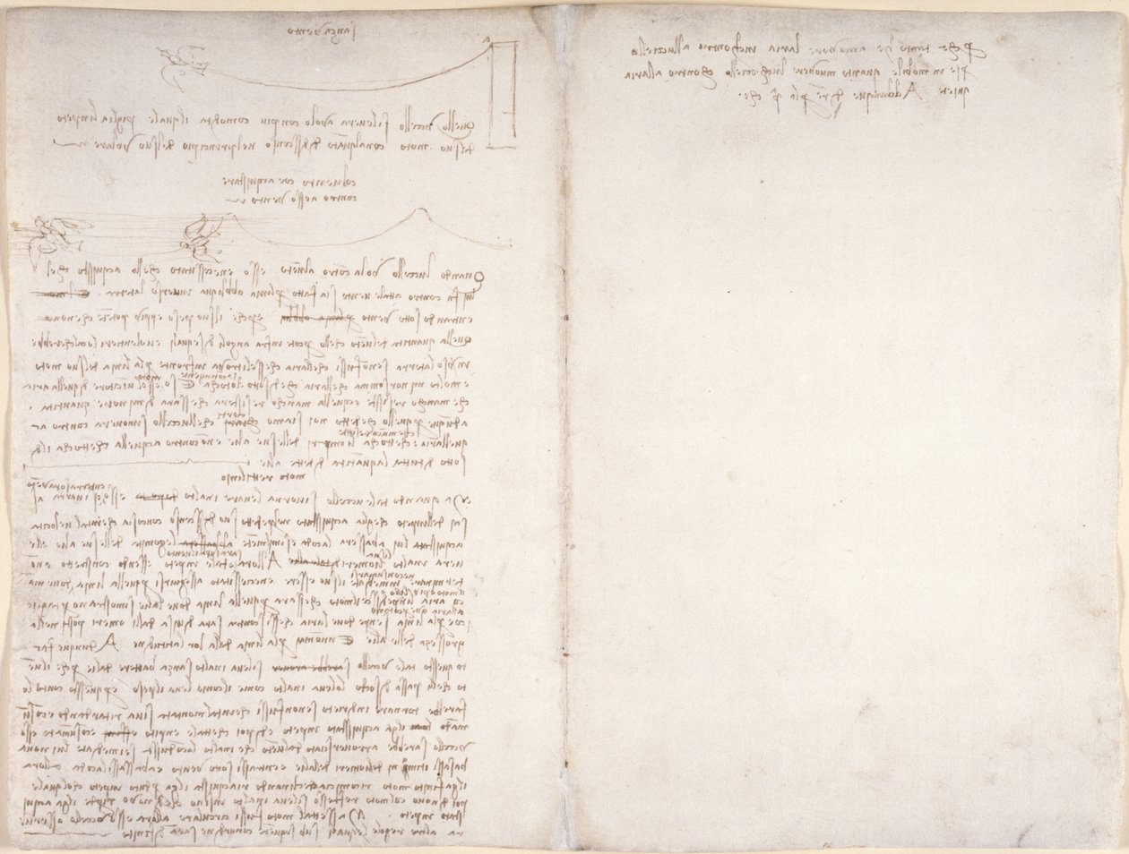 Arundel 263, f.166v, f.163 Notater og diagrammer om fuglenes flukt, fra 