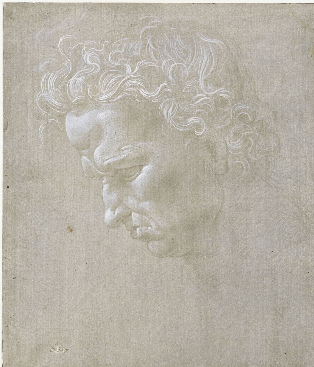 Uttrykksfullt mannshode i profil av Leonardo da Vinci
