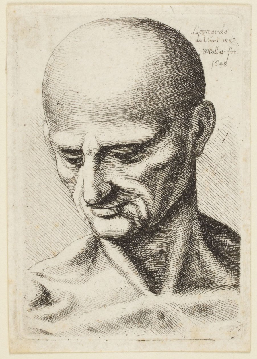 Den skallede mannen av Leonardo da Vinci