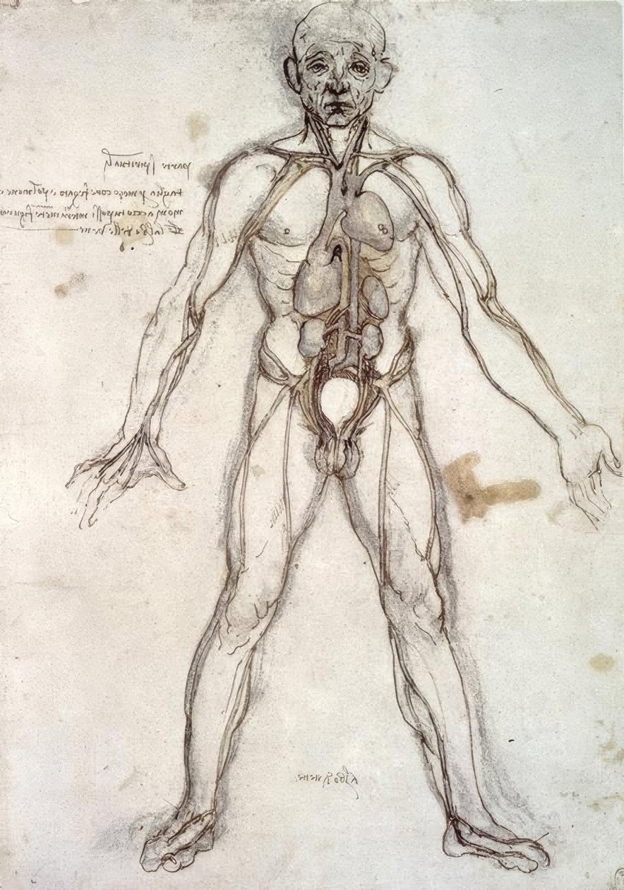 Fartøyets tre av Leonardo da Vinci
