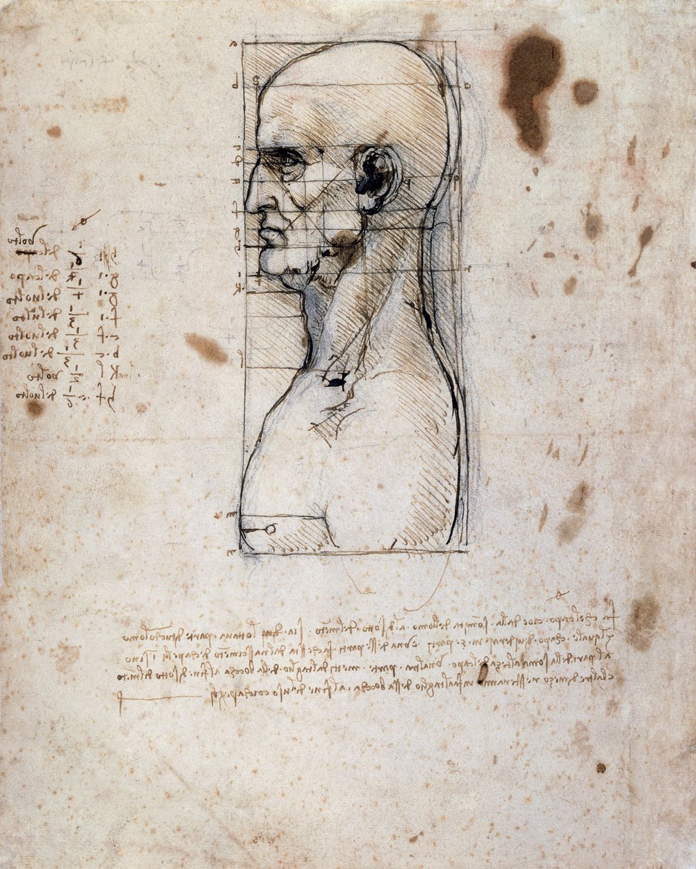 Byste av en mann i profil med mål og notater (sepia blekk på linpapir) av Leonardo da Vinci