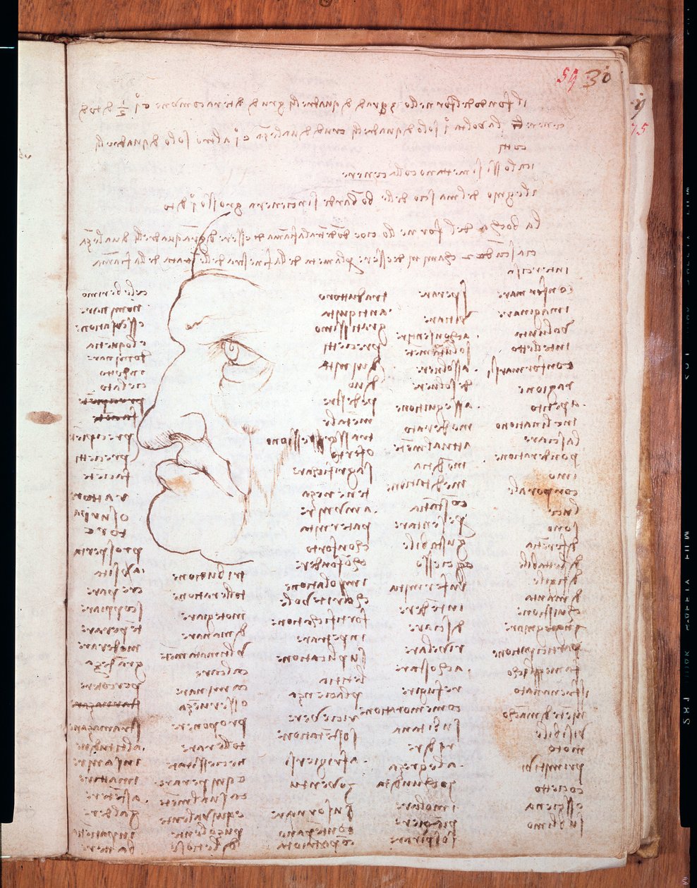 Codex Trivulziano av Leonardo da Vinci (Leonardo da Vinci) (1452 - 1519) - Trivulziana bibliotek, Milano av Leonardo da Vinci