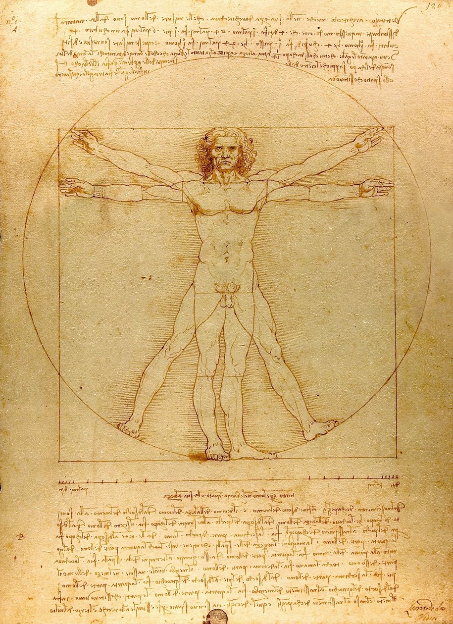  av Leonardo da Vinci
