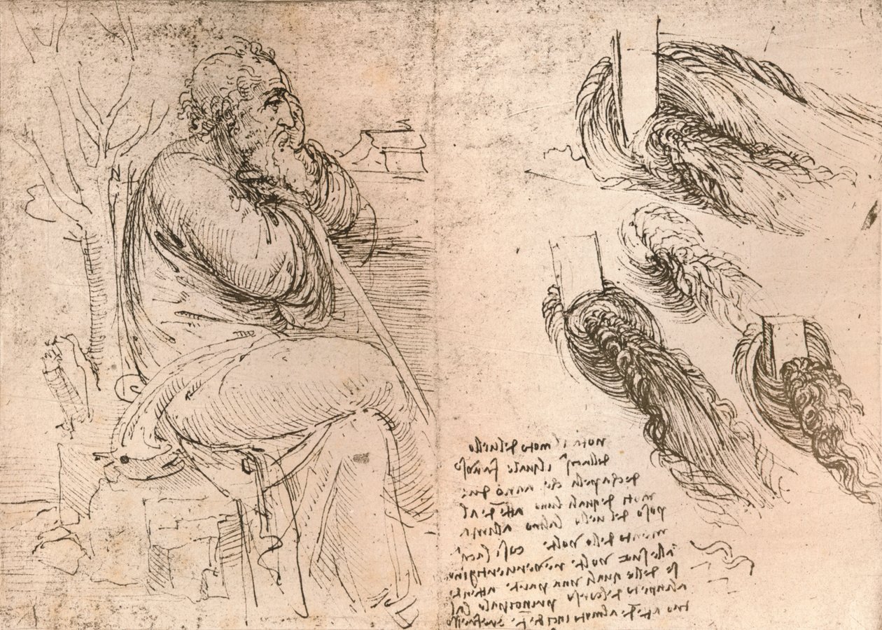 Tegning som illustrerer representasjonen av hår som faller ned i krøller, c1472-c1519 1883 av Leonardo da Vinci