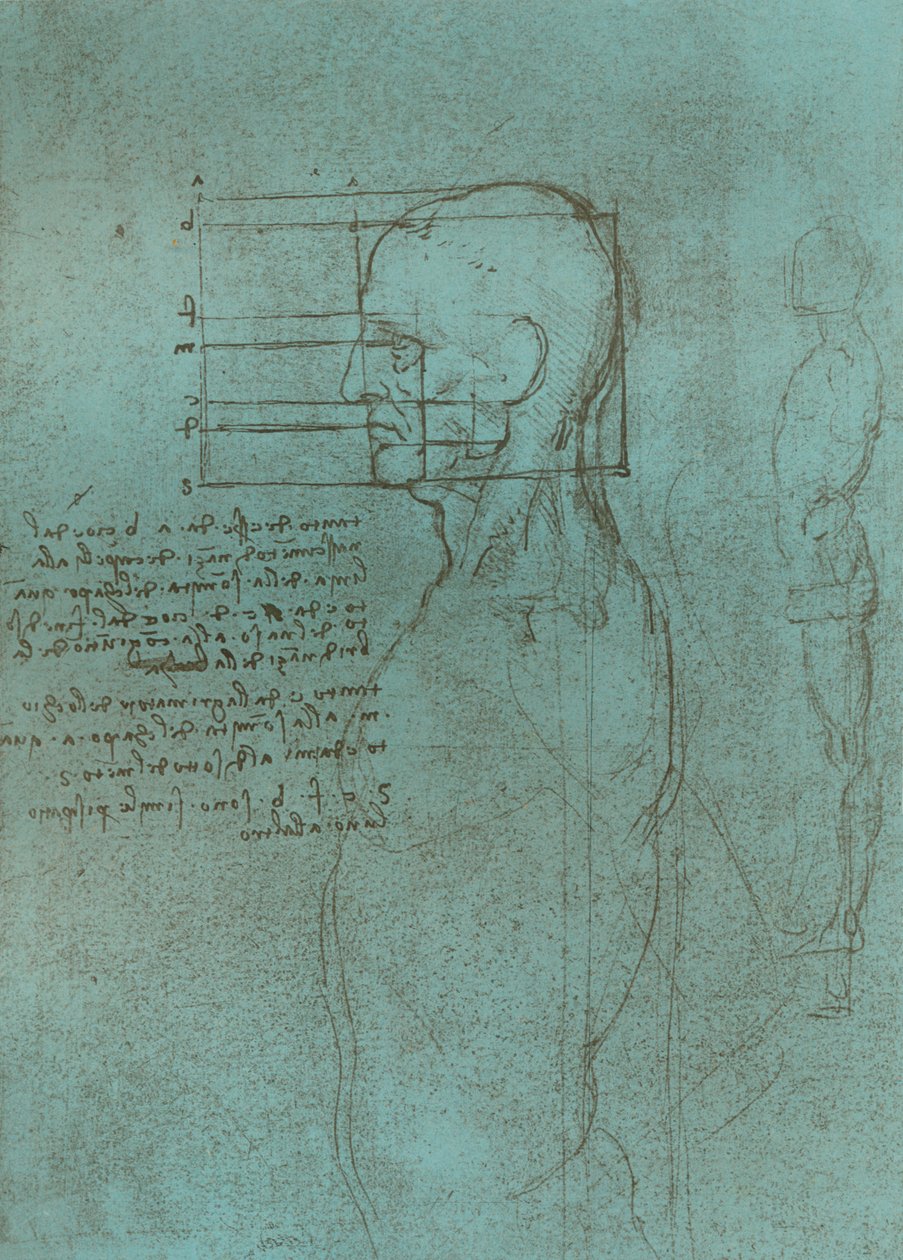 Tegning som illustrerer teorien om proporsjonene til den menneskelige figuren, c1472-c1519 1883. av Leonardo da Vinci