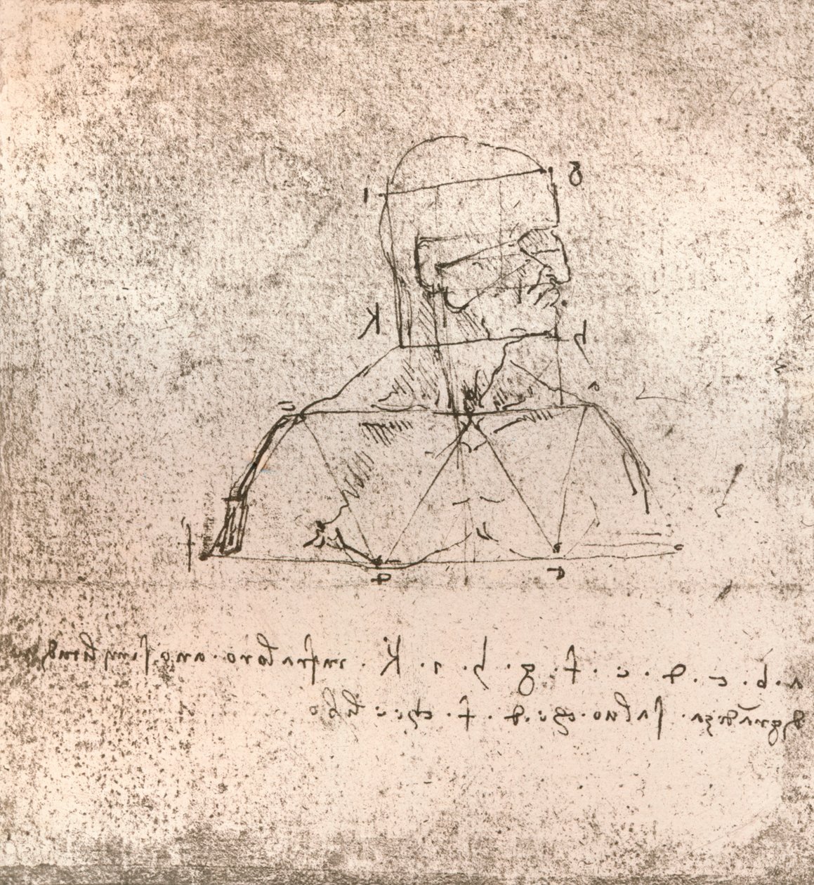 Tegning som illustrerer teorien om proporsjonene til den menneskelige figuren, c1472-c1519 1883 av Leonardo da Vinci
