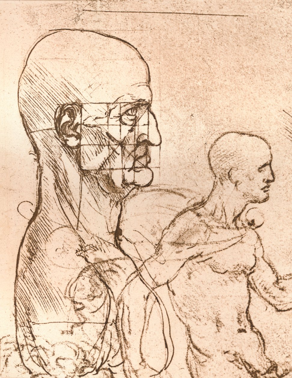 Tegning som illustrerer teorien om proporsjonene til den menneskelige figuren, c1472-c1519 1883 av Leonardo da Vinci