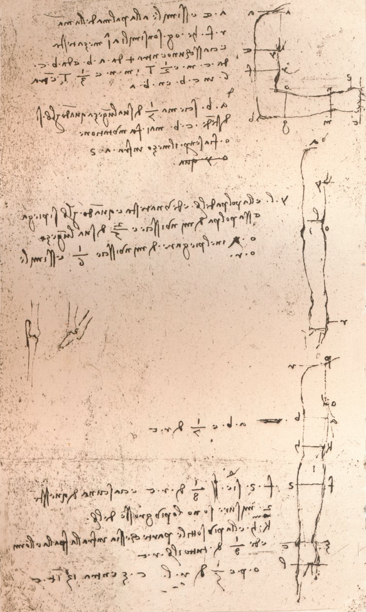 Tegning som illustrerer teorien om proporsjonene til den menneskelige figuren, c1472-c1519 1883 av Leonardo da Vinci