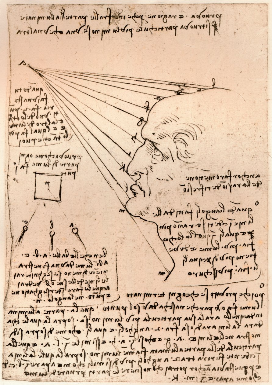 Tegning av et mannlig hode, som illustrerer praksisen med å male, c1472-c1519 1883 av Leonardo da Vinci