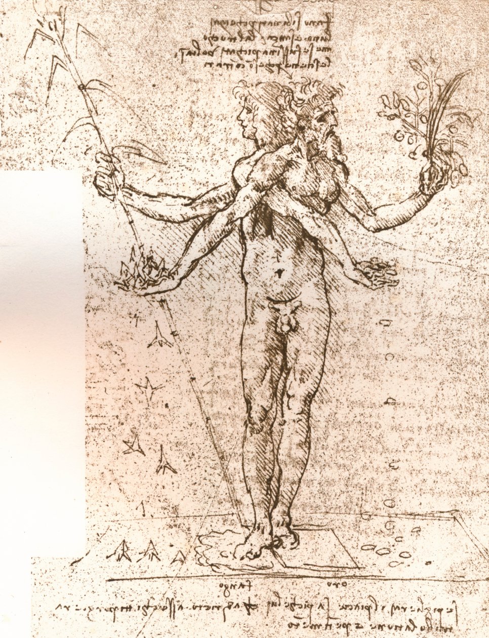 Tegning av en allegorisk komposisjon, c1472-c1519 1883 av Leonardo da Vinci