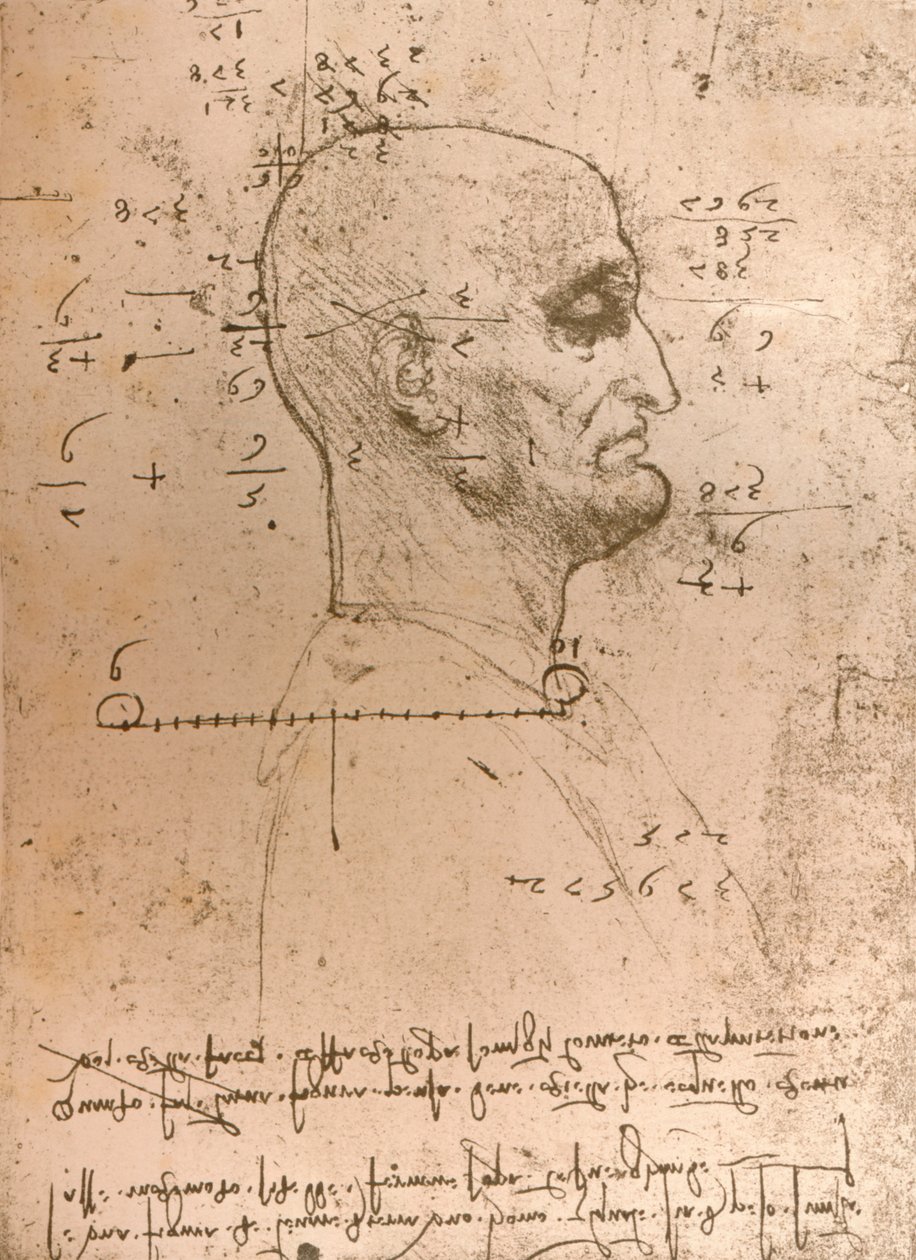 Tegning av hodet til en kriminell, c1472-c1519 1883 av Leonardo da Vinci