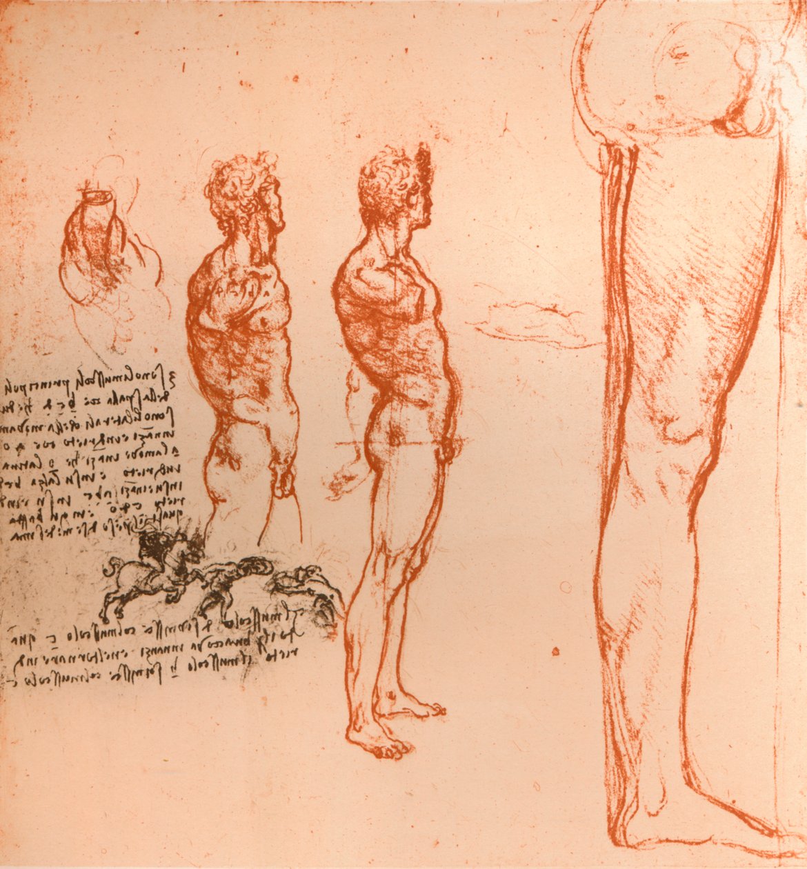 Tegninger som viser bevegelsene til den menneskelige figuren og krigere som kjemper, c1472-c1519 1883 av Leonardo da Vinci