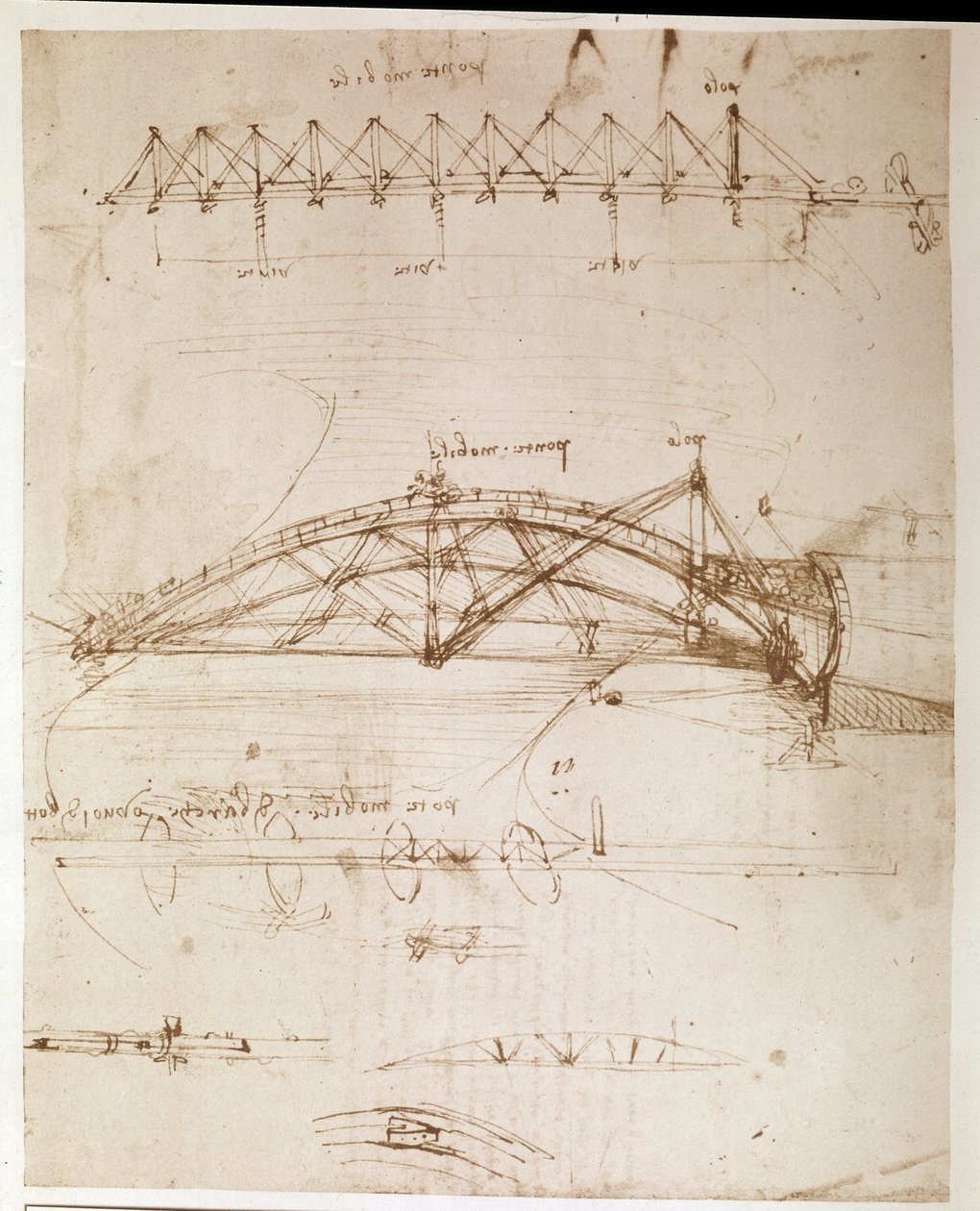  av Leonardo da Vinci