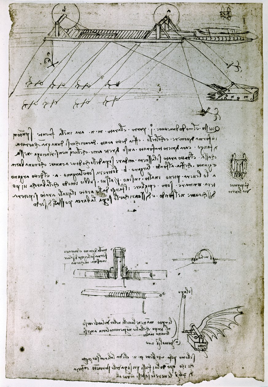 av Leonardo da Vinci