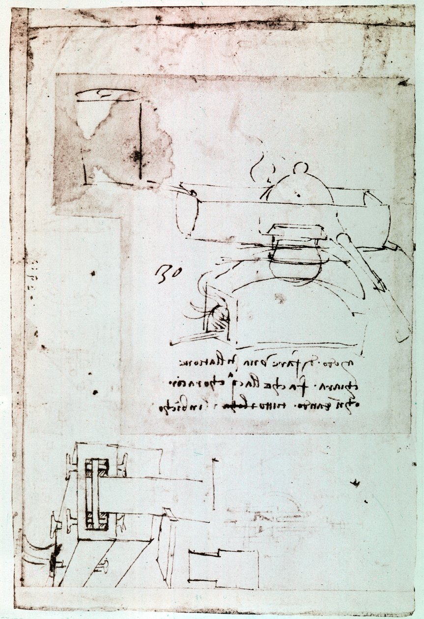  av Leonardo da Vinci