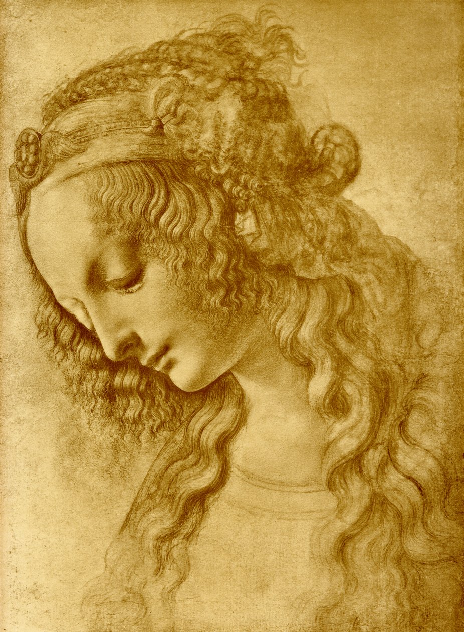 Kvinnelig hode av Leonardo da Vinci