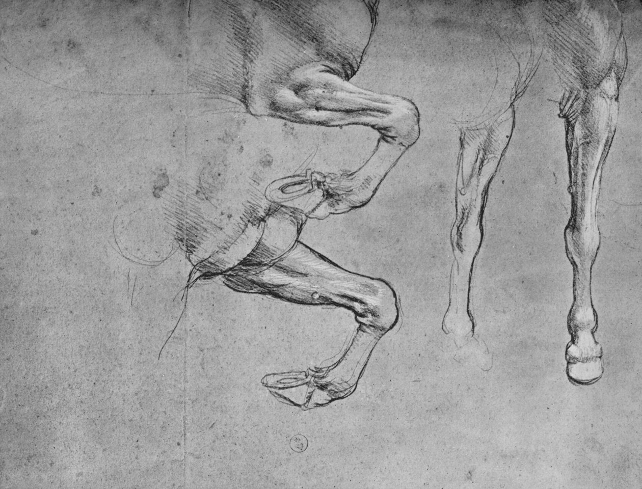 Four Studies of Horses Legs, c1480 1945 av Leonardo da Vinci