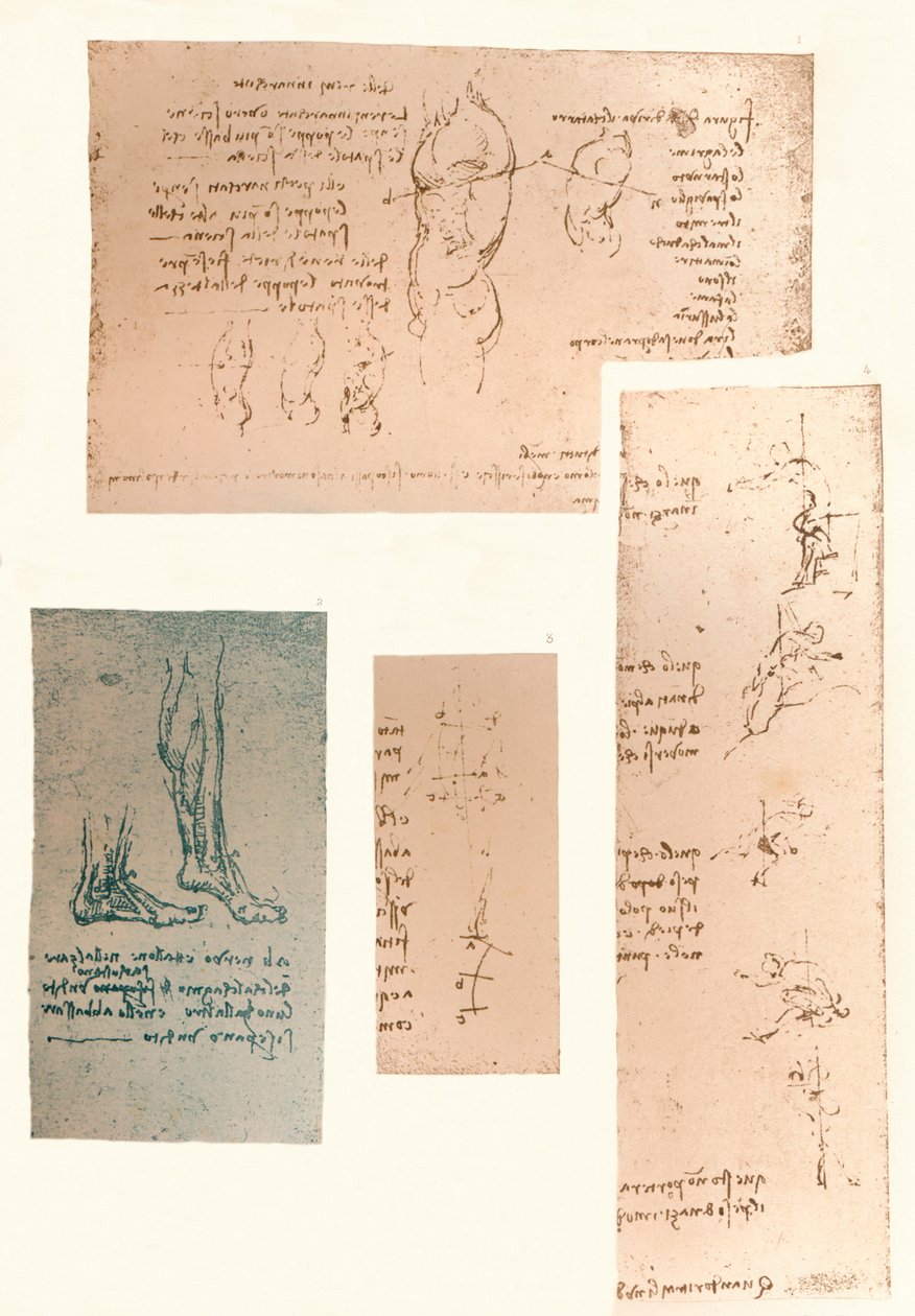Fire tegninger som illustrerer teorien om bevegelsene til den menneskelige figuren, c1472-c1519 1883 av Leonardo da Vinci