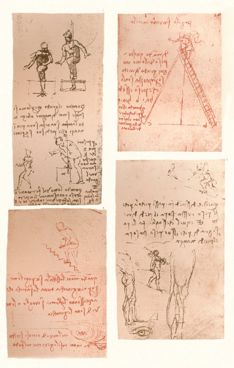 Fire tegninger som illustrerer teorien om bevegelsene til den menneskelige figuren, c1472-c1519 1883 av Leonardo da Vinci