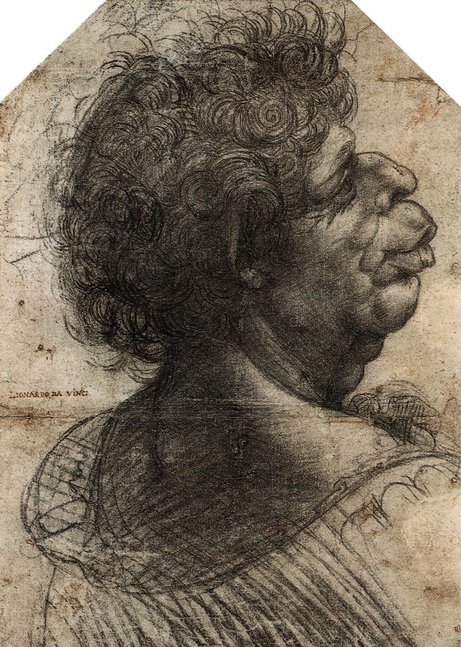  av Leonardo da Vinci