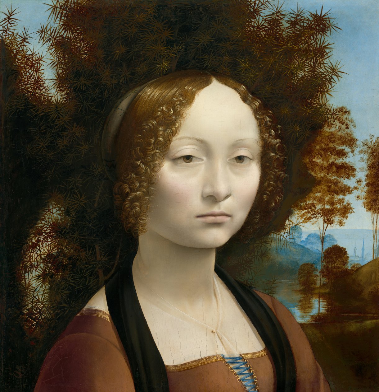  av Leonardo da Vinci
