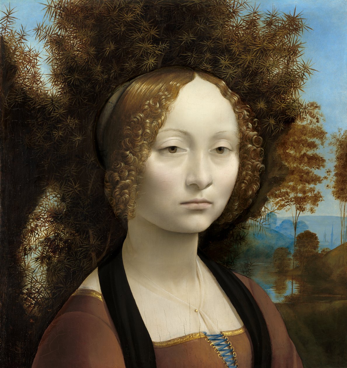  av Leonardo da Vinci