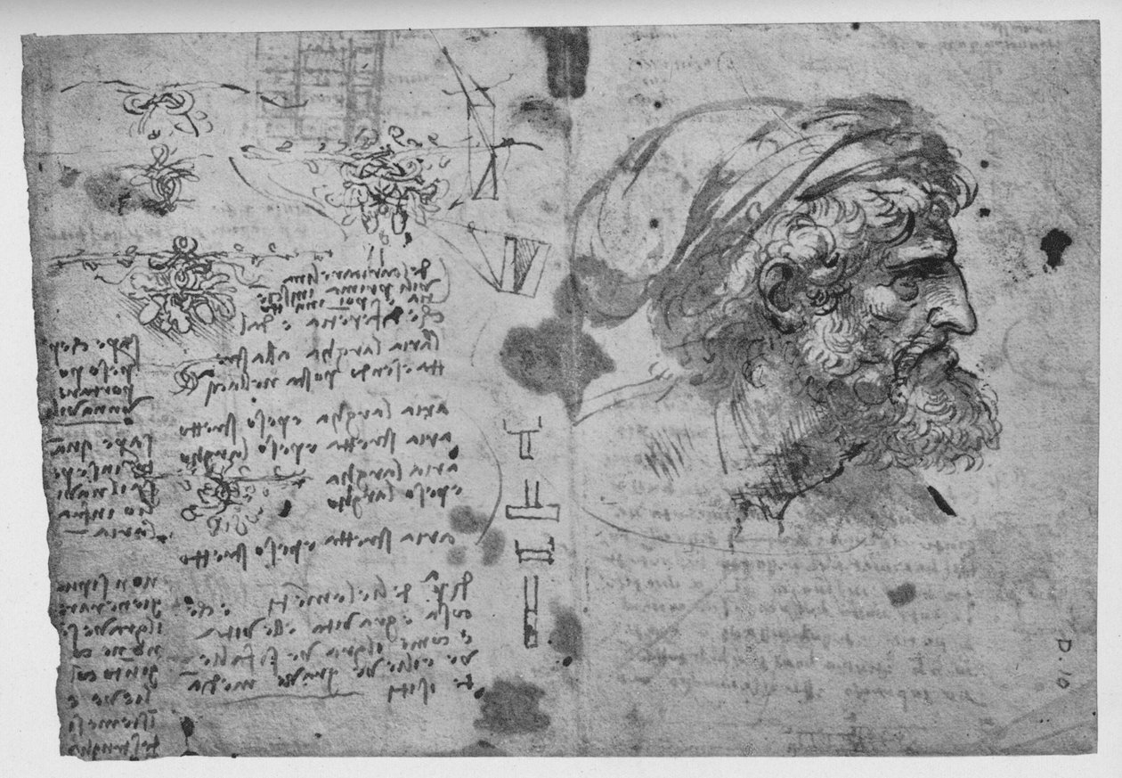 Head and Shoulders of a Bearded Man, c1480 1945 av Leonardo da Vinci