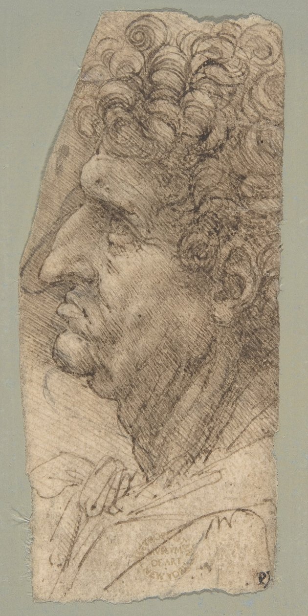 Hodet av en mann i profil, vendt mot venstre av Leonardo da Vinci