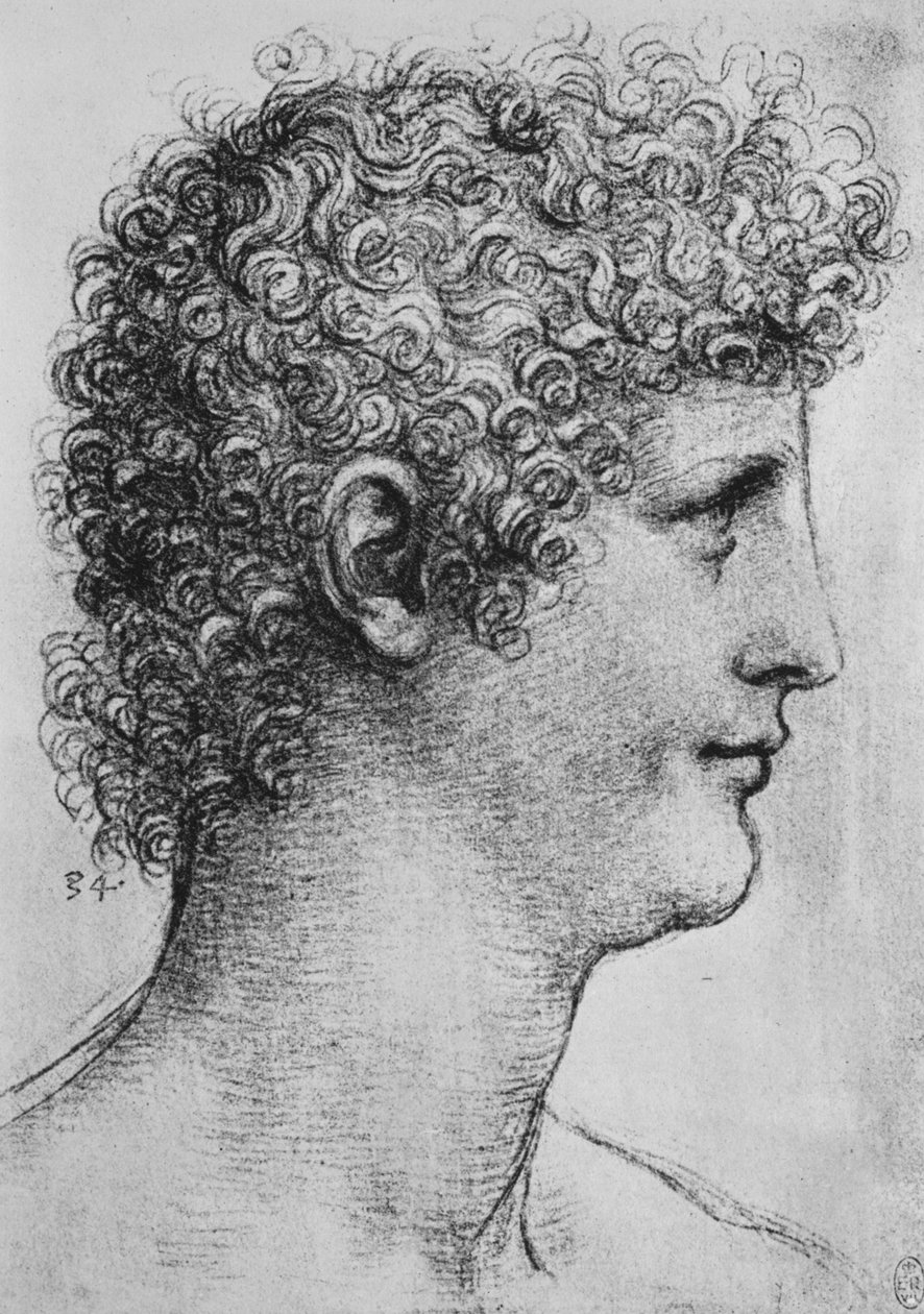 Leder for en ungdom i profil til høyre, c1480 1945 av Leonardo da Vinci