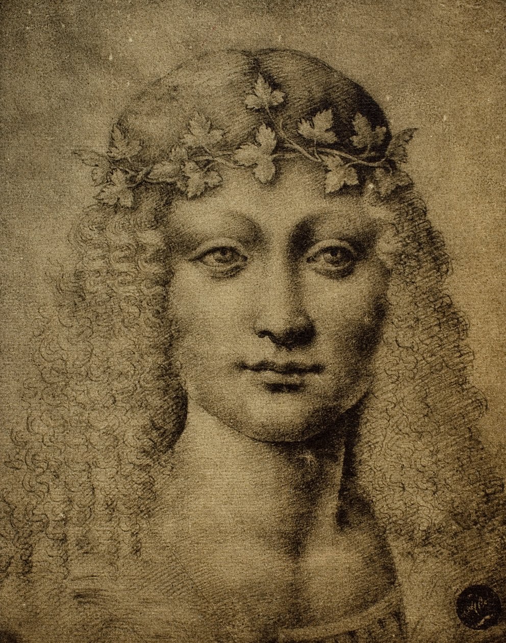 Hodet til en jente eller en ung Bacchus; tegning av Leonardo da Vinci. Gallerie dell