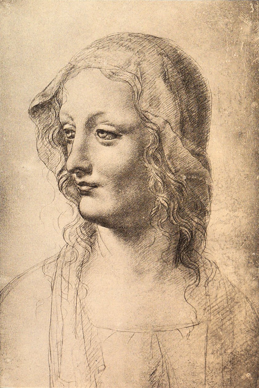 Leder for en ung kvinne, tegning av Leonardo da Vinci, Cabinet of Drawings and Prints, Uffizi, Firenze av Leonardo da Vinci