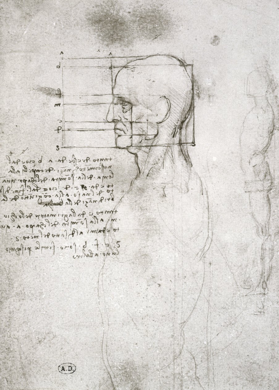 Leder for en gammel mann i profil, faksimilekopi (penn og blekk på papir) av Leonardo da Vinci
