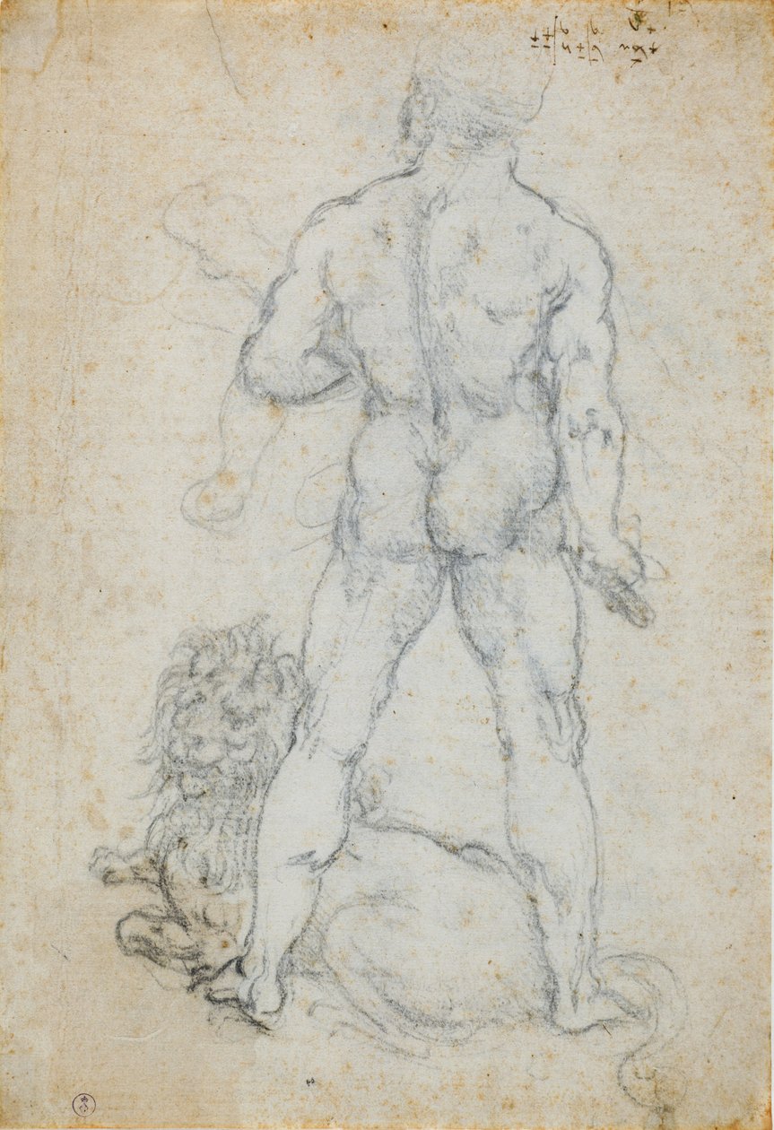 Hercules og Nemean-løven, ca. 1506-08 (kull- og metallspiss på hvitt papir) av Leonardo da Vinci