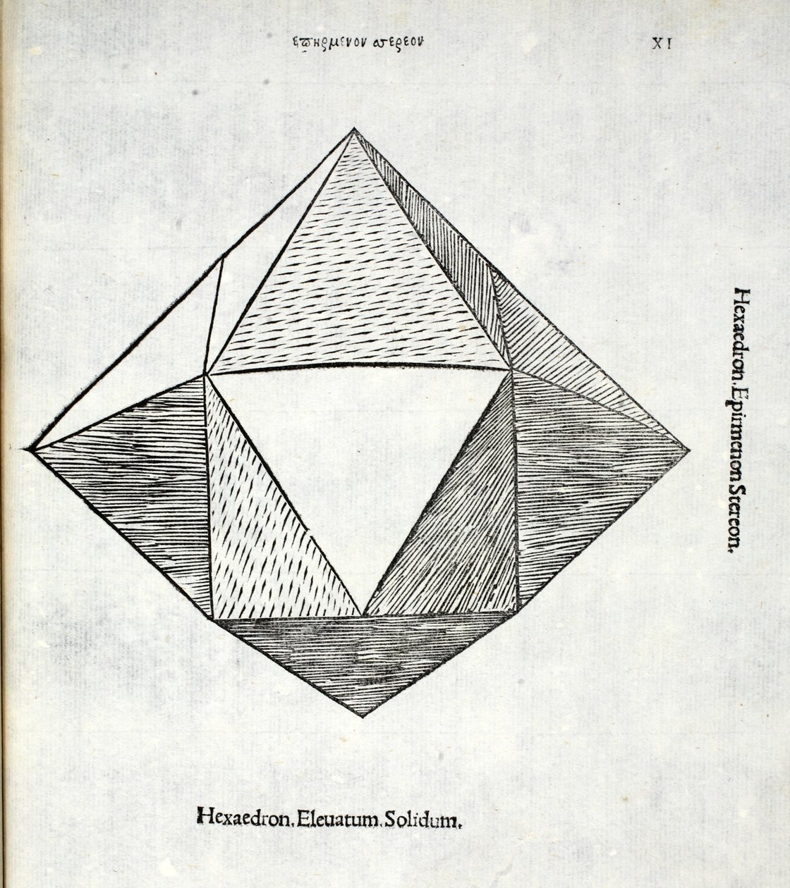 Hexaedron elevated solidus, illustrasjon fra 