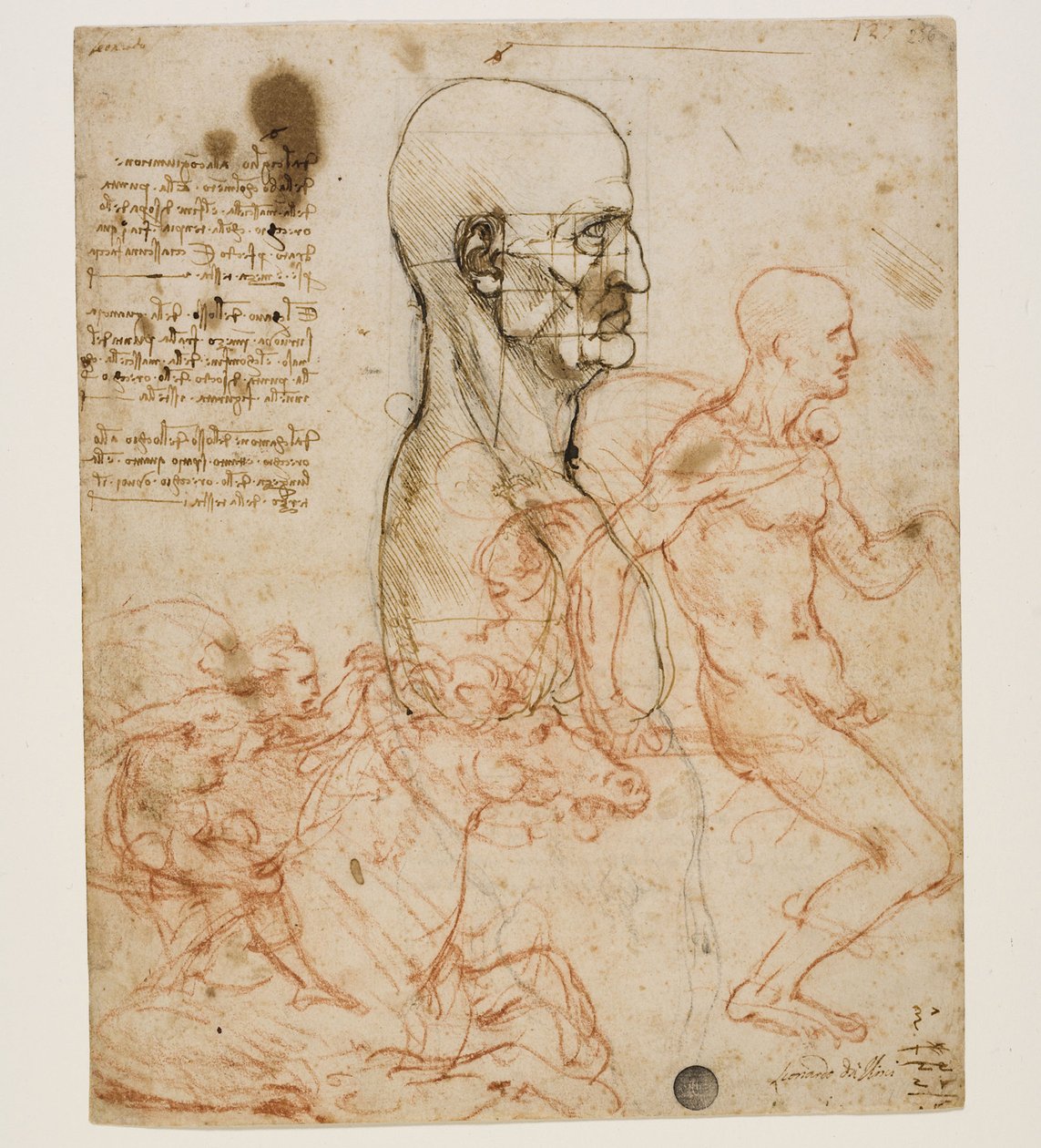 Menneskebyste i profil med studie av proporsjoner, ca. 1490-1499. av Leonardo da Vinci