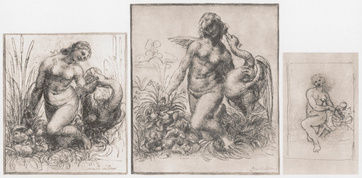 Leda og svanen, c1504-1506 av Leonardo da Vinci