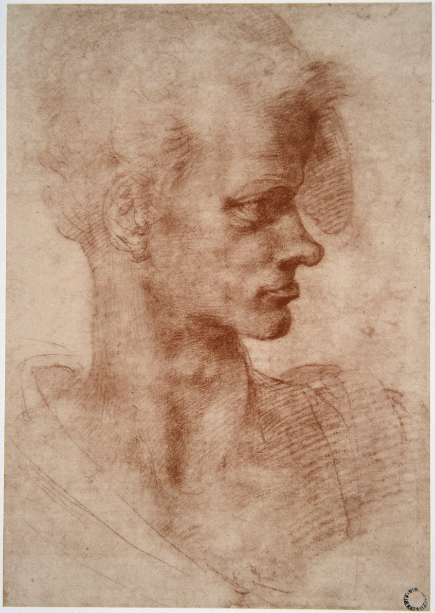 Leonardo da Vinci (Leonardo da Vinci) (1452 - 1519): Karikaturportrett av en ung mann (Imagine) av Leonardo da Vinci