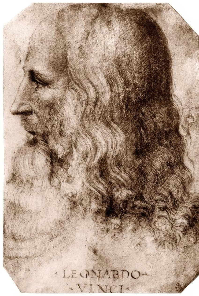 Leonardo da Vinci av Leonardo da Vinci