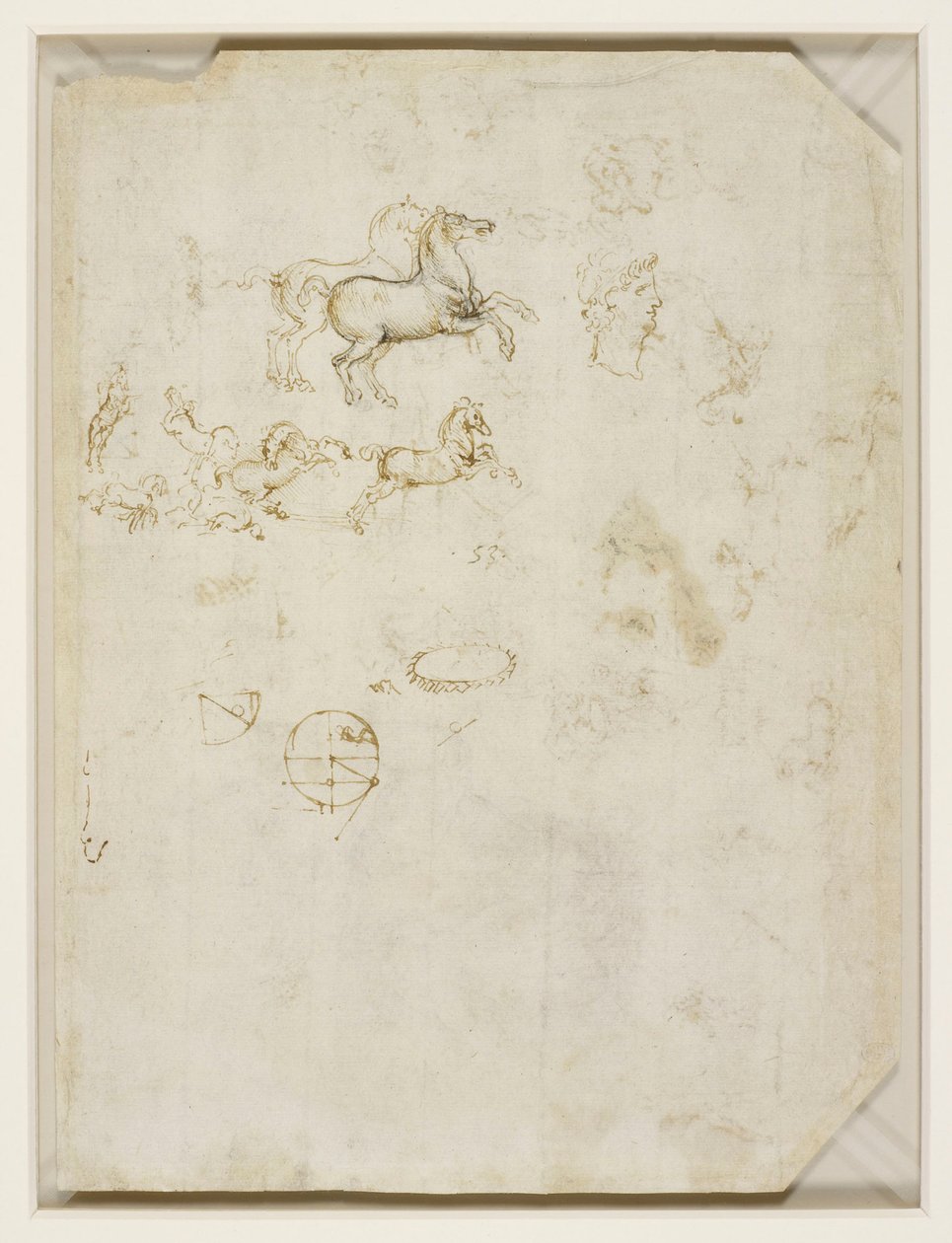  av Leonardo da Vinci