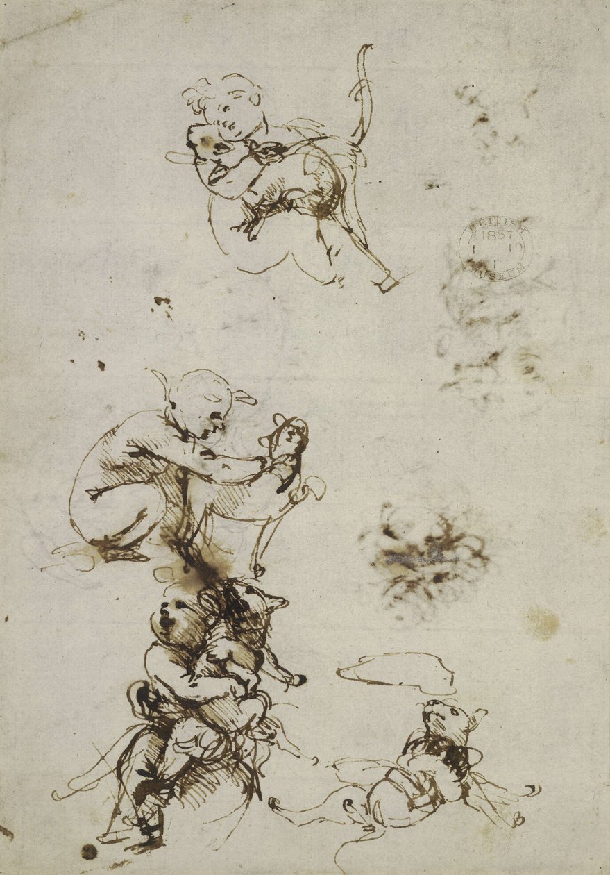  av Leonardo da Vinci