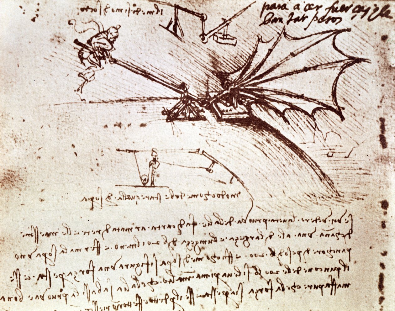MS B fol.88v Testing av lasttoleransen til en vinge av Leonardo da Vinci