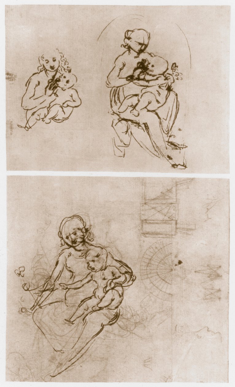 Madonna med blomsten, c1478. av Leonardo da Vinci