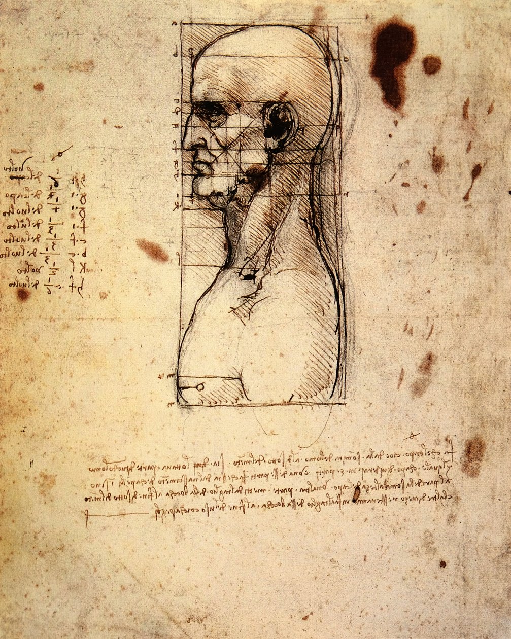  av Leonardo da Vinci