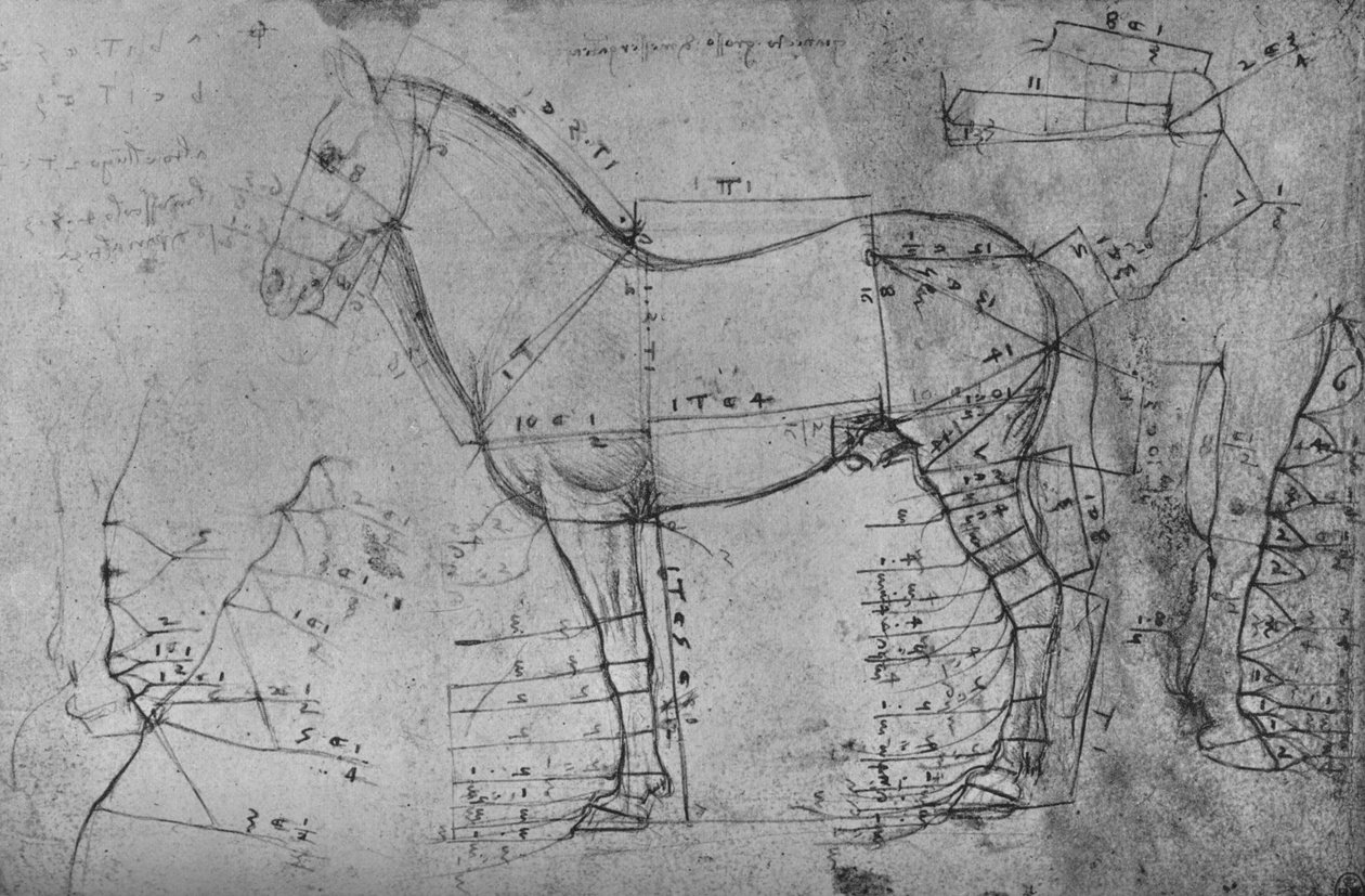 Målt tegning av en hest i profil til venstre, c1480 1945 av Leonardo da Vinci