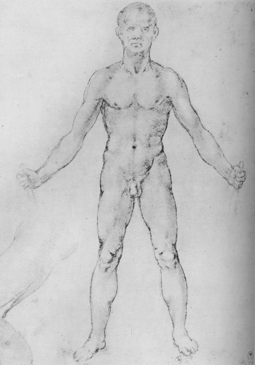 Naken mann med armer strukket ut, sett forfra, c1480 1945 av Leonardo da Vinci