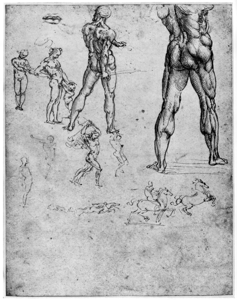 Nakenstudier for slaget ved Anghiari, c1503-1505 1954 av Leonardo da Vinci