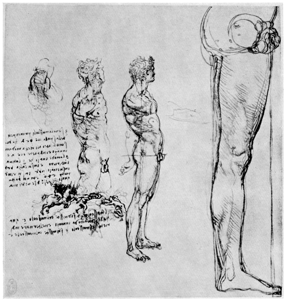 Nakenstudier for slaget ved Anghiari, c1503-1505 1954 av Leonardo da Vinci
