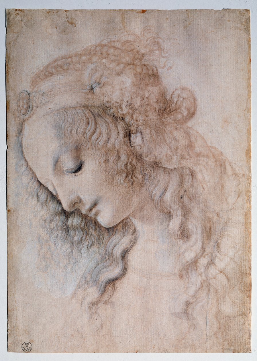 Portrett av jente - tegning av Leonardo da Vinci
